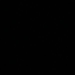 Meet your Posher, Otis